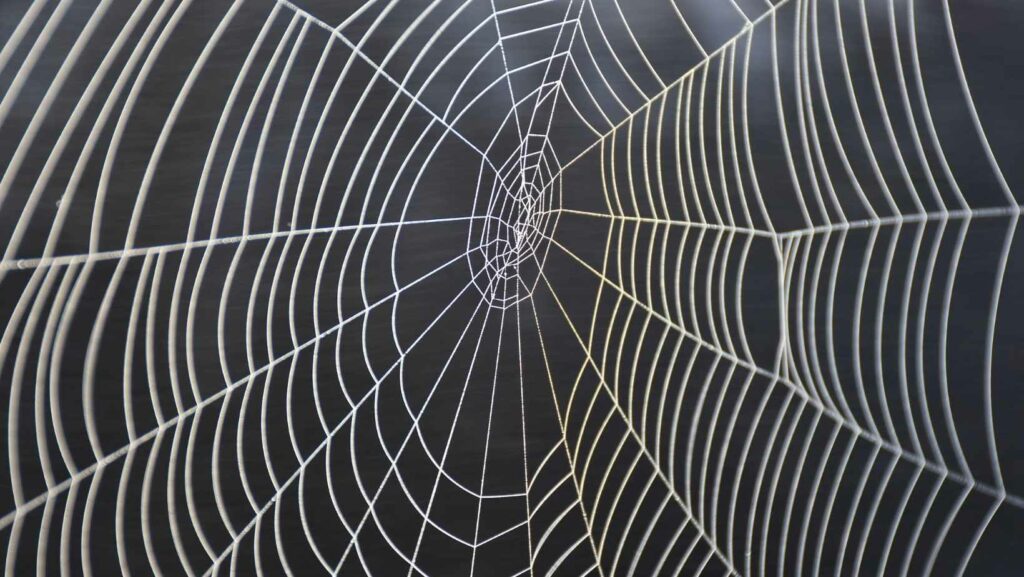 how to craft cobwebs