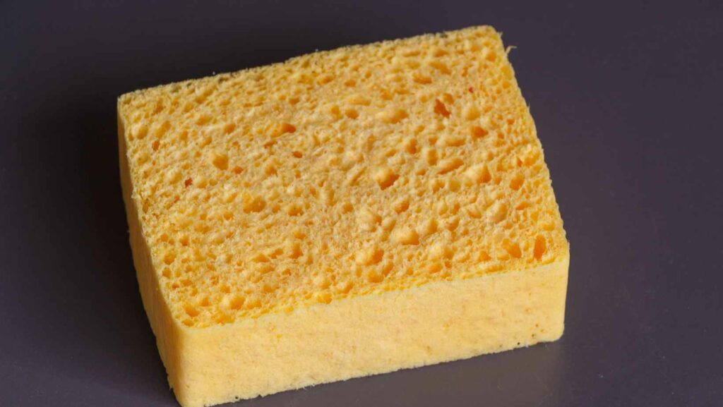 how to craft a sponge