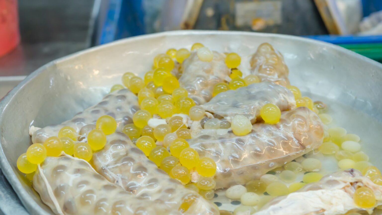 How To Craft A Spawn Egg in Minecraft StepbyStep Guide Important Cool